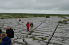 Sheshymore Limestone pavement exposes shallow water carbonates of the Brigantian, Slievenaglasha Formation. These classic kharstified exposures of tabular blocks of limestone pavement, Clints, are cut by vertical fractures, Grikes, which were widened by post glacial disolution (McNamara, & Hennessy, 2010). Fractures were intially established during Variscan folding (Coller, 1984).